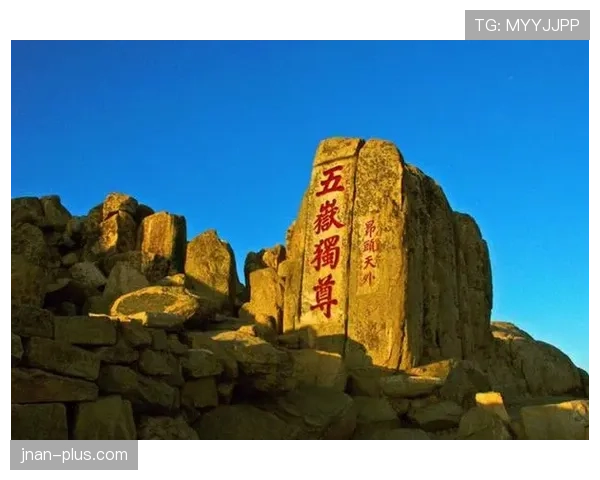 山东泰山豪门地位稳定性面临考验，近期表现波动对竞争格局带来变化